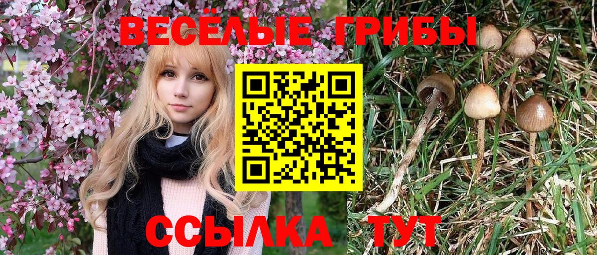 Галлюциногенные грибы мухоморы  Галлюциногенные грибы MAGIC MUSHROOMS  Элиста  Вход с VPN 