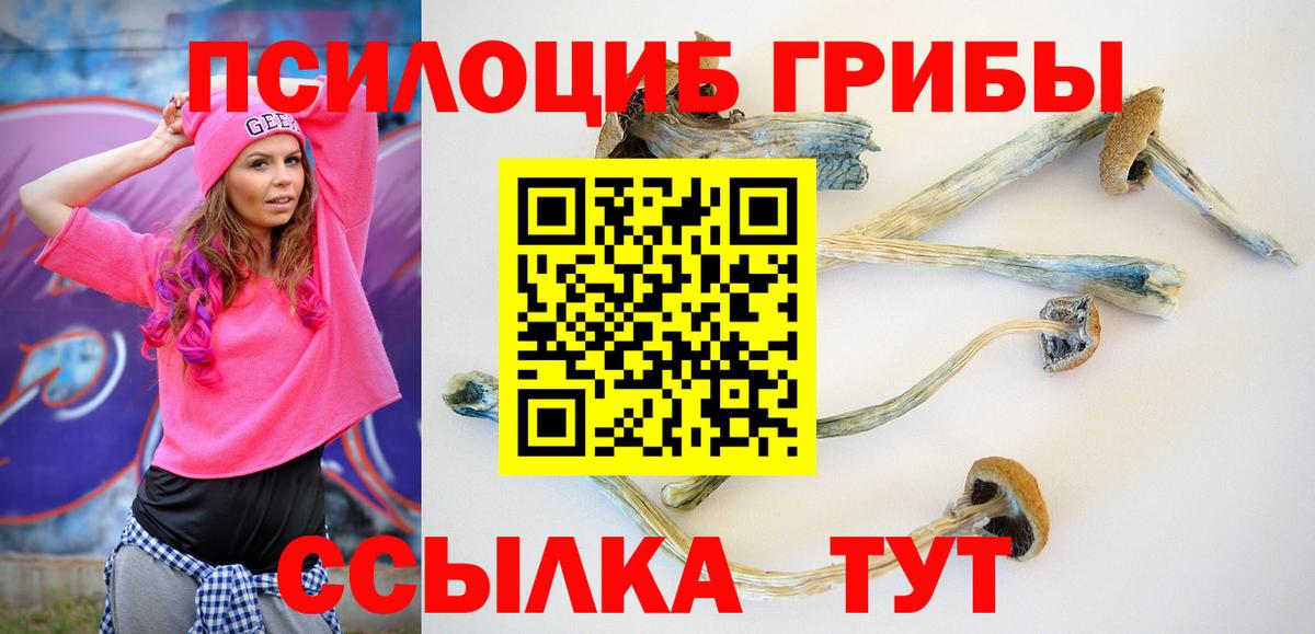 Галлюциногенные грибы Magic Shrooms Элиста